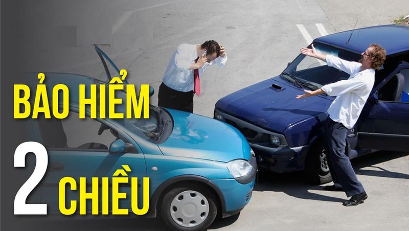 Các Loại Bảo Hiểm Ô Tô Bạn Cần Biết