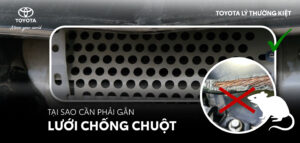 Read More About The Article Tại Sao Nên Gắn Lưới Chống Chuột Cho Ô Tô Tại Toyota Lý Thường Kiệt