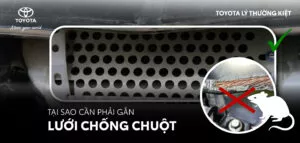 Read More About The Article Tại Sao Nên Gắn Lưới Chống Chuột Cho Ô Tô Tại Toyota Lý Thường Kiệt
