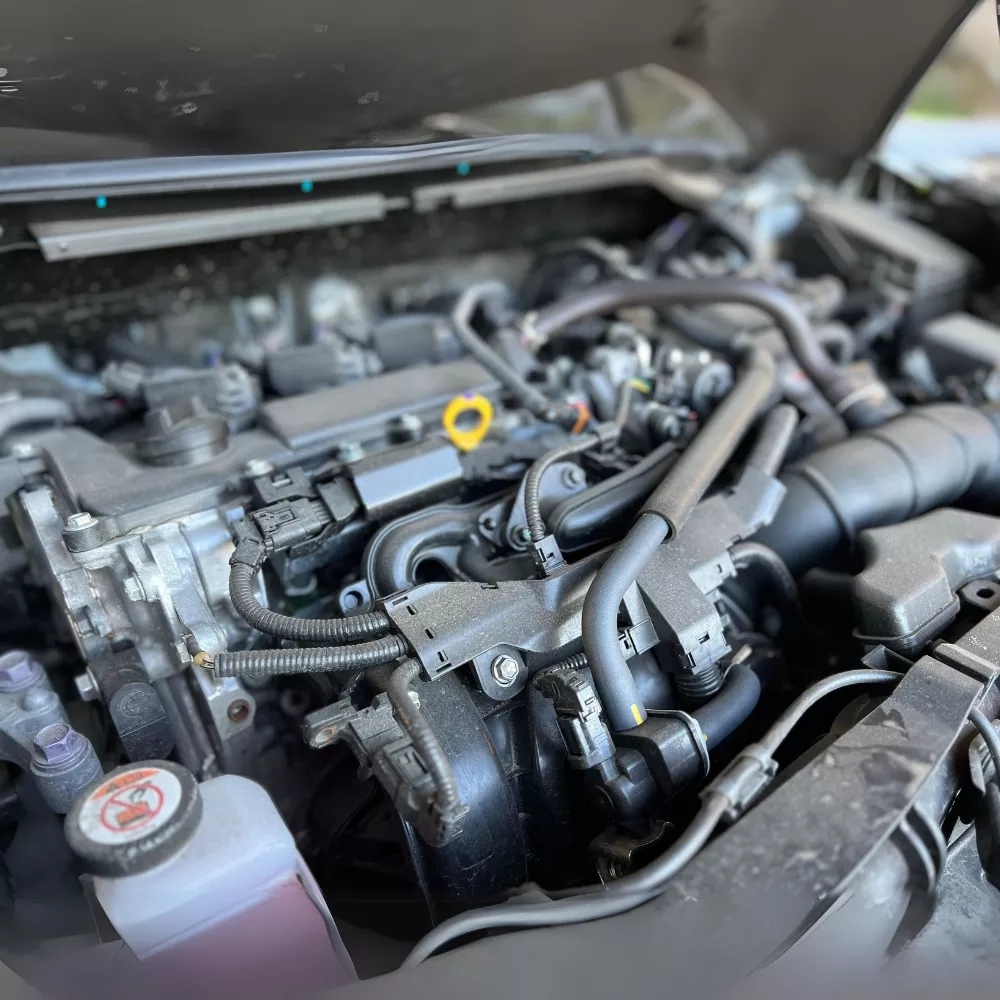 Tại Sao Nên Gắn Lưới Chống Chuột Cho Ô Tô Tại Toyota Lý Thường Kiệt