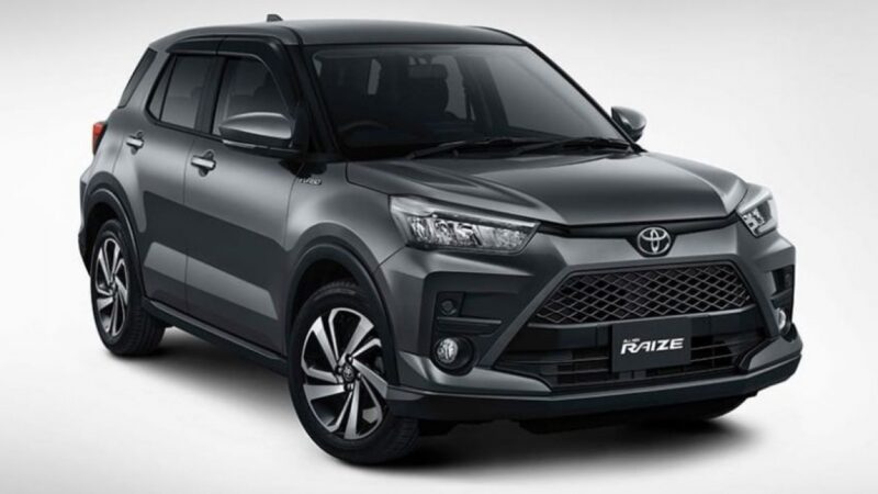Thảm Sản 3D Raize